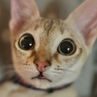 白黒モノさんのプロフィール画像