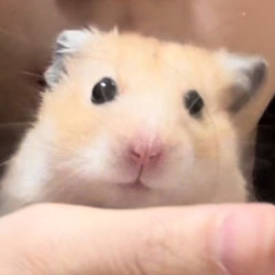 거래계さんのプロフィール画像