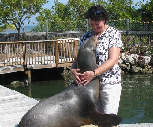 TravelCarole's profile picture. I love to travel and, even more, I love to help others experience the world of travel.