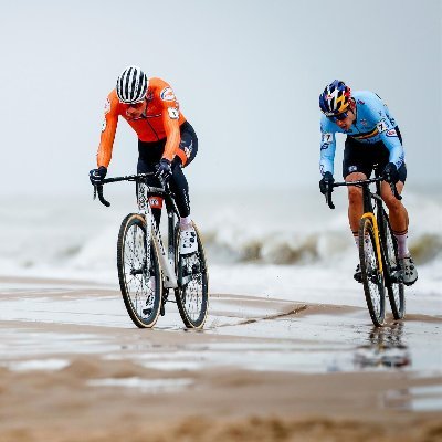 leocubon's profile picture. 