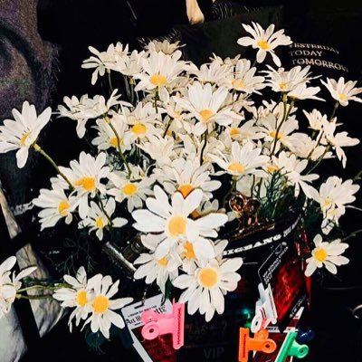 pqlnsipqi08190's profile picture. 