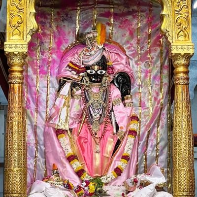 Ketansi12254666's profile picture. 