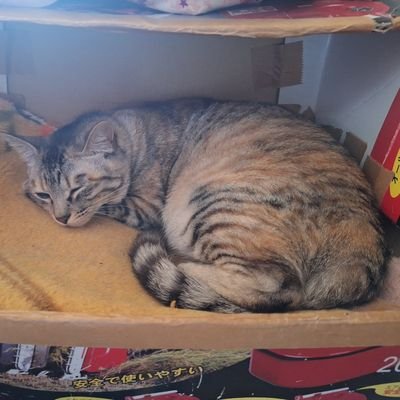 れお on X: れお on X: