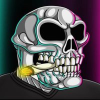 Kees NL (@cryptonederland) 's Twitter Profile