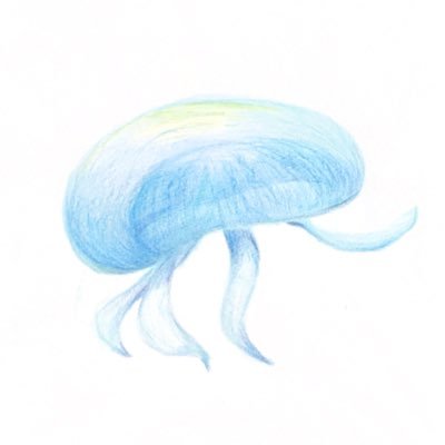 海月さんのプロフィール画像