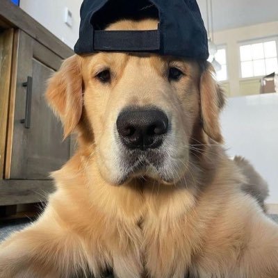 JAFXRQW's profile picture. 