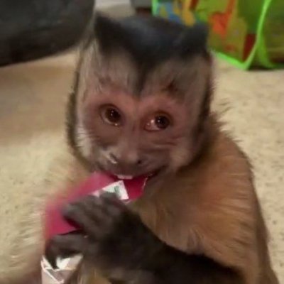 MonitosChidoz's profile picture. 