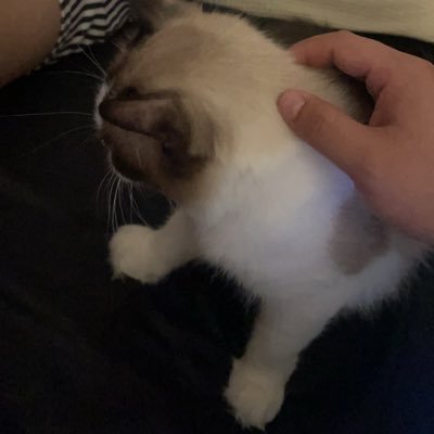 RzV6y's profile picture. 