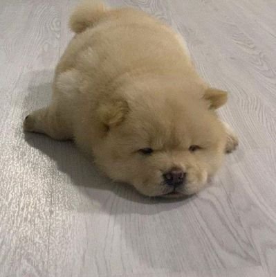 lijilng916232's profile picture. 