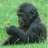 dytaboutcris_'s profile image