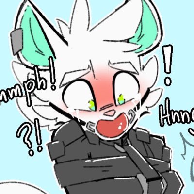 ShibiSinさんのプロフィール画像