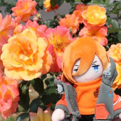 Mofu_R_'s profile picture. 取引垢。24時間以内にお返事ができるよう心がけております。個人情報を扱った取引の終了後はDM削除願います。成人済20↑/喫煙者ペットなし/utprレン 真斗 蘭丸 カミュ※姉の分で音也を集めるときがあります。※コンプ目的のため推しを交換に出す場合があります。本垢→@Mofu_frmk