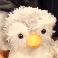 ピム林 (@pimurin_884) 's Twitter Profile