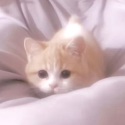 ri_ry_410's profile picture. 先輩がかわいいだいすきすぎる👶🏻💖