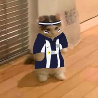 Mishell (@mishell_catunta) 's Twitter Profile