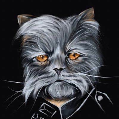 DomSustacek's profile picture.