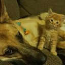 Luann Gallagher - @Luannrg60 - Twitter