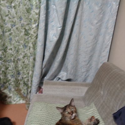 daichi_tadekui's profile picture. @TADEKUIDETAKUI