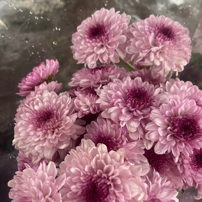 nnotg00d4u's profile picture. about my feeling here