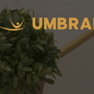 💚Your Trusted Insurance Partner 💚
Explore personalized coverage solutions tailored for individuals, families, and small businesses in the UK.