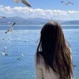 Rivous4863's profile picture. 