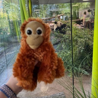 abbs0410's profile picture. teehee