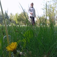 Nur (@_nur_14) 's Twitter Profile