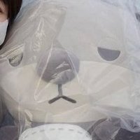 ペンギン (@pengin454545) 's Twitter Profile