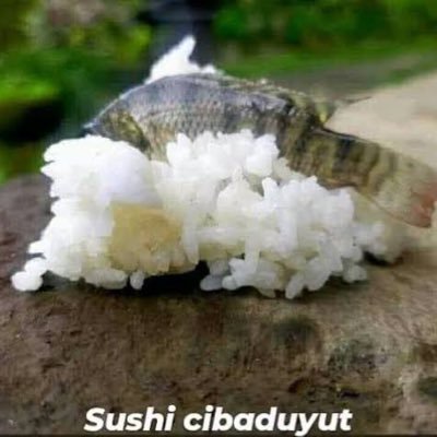 xienlys's profile picture. Jangan follow akun ini plis