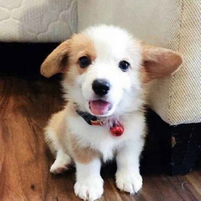 Rehab123890's profile picture. 