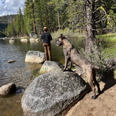 fullyautood11's profile picture. 