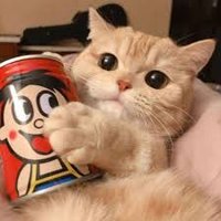 王叔找番号 (@fanhaowangshu) 's Twitter Profile