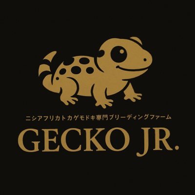 @GeckoJr1 ニシアフ累計繁殖1000匹超。モルフごとの変わった特徴や表現の固定化、飼育環境づくりを研究しています。 「健康で、人にもよく馴れる個体」を目指し、取り組んでいます。 モルフの質問や飼育相談など、お気軽にDMください◎ 📸最新繁殖個体はhttps://t.co/1cn7ULDfyD