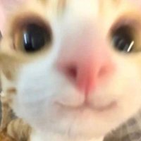 Xixixi112 (@xixixi108) 's Twitter Profile