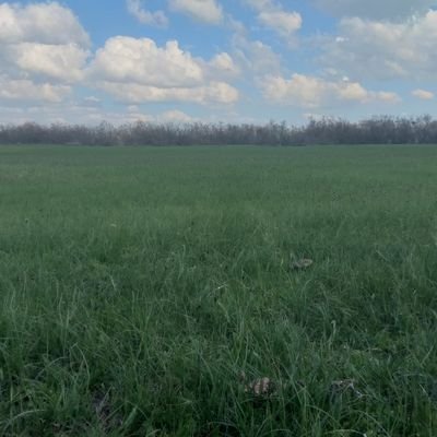 kasor494918776's profile picture. 