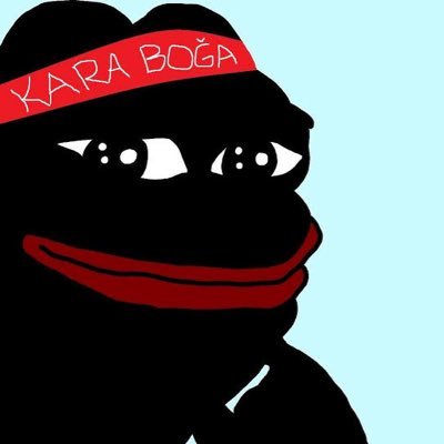 TURK_SANCAK_'s profile picture. 