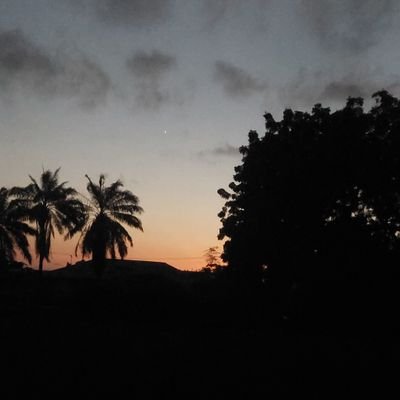 an_echo_lady's profile picture. WEB3.0|| Content writer ||