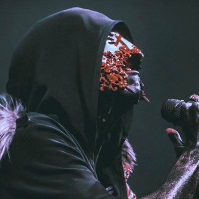 mynxiih's profile picture. instead of brain there's only vessel