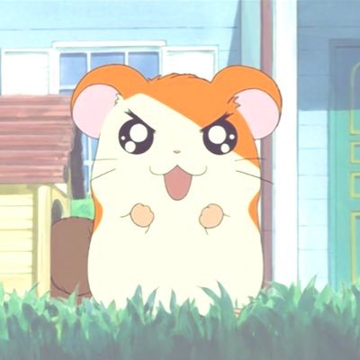2194_sea's profile picture. ⊂⊃   .∧_∧  (╹⩊╹*) ββ  ⊂⊂＿＿⊃