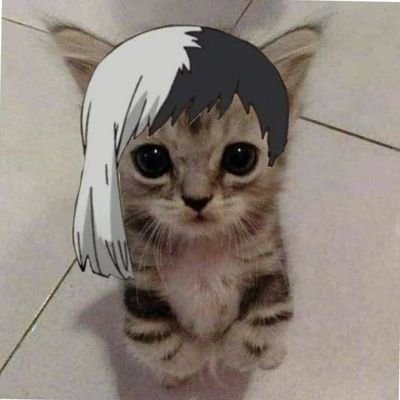 BatKiwwwi's profile picture. 