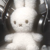 ᐢ..ᐢ ࣪˖ miffy ˚⊹ (@miffybrews) 's Twitter Profile