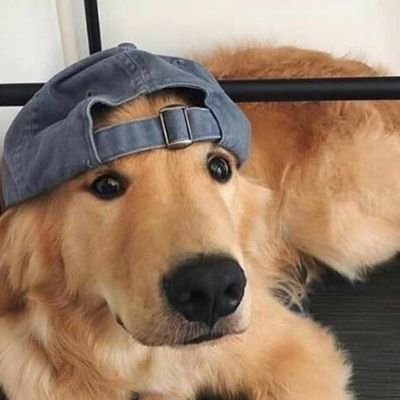 MauricioRamonS3's profile picture. I'm Software Developer
