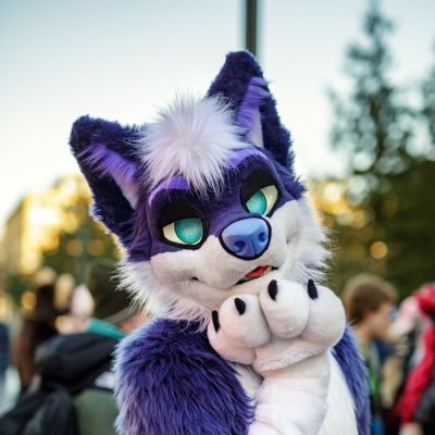 27 | 🇩🇪 | single | purplest husky 💜 latex & femboys are my weakness | love to travel, taking pictures, meeting new fluffs | heart for benz | 🔞 nsfw