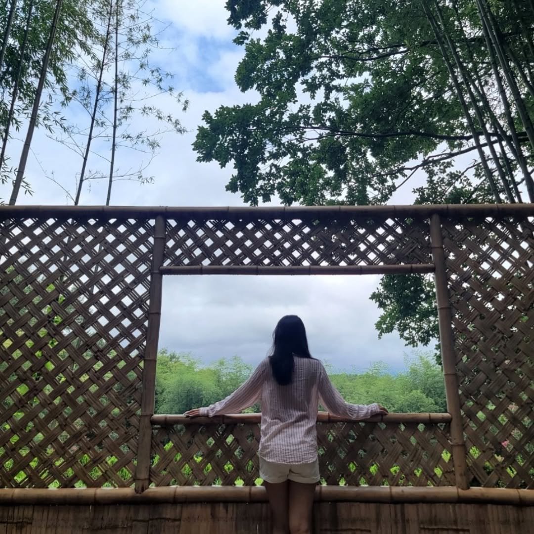 Quooxea848673's profile picture. 