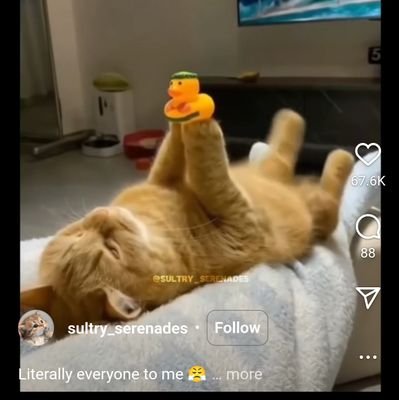 ShibashanakarB's profile picture. Full-Stack Web Developer | HTML | CSS | Javascript | TailwindCss | React | Git | Github | Node.js | Express.js | MongoDB