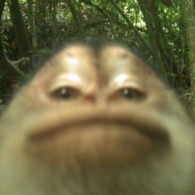 ladno&apos;s avatar