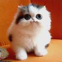 Ellen Wilkes - @WilkesEllen - Twitter