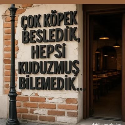 SansYildir3247's profile picture. 