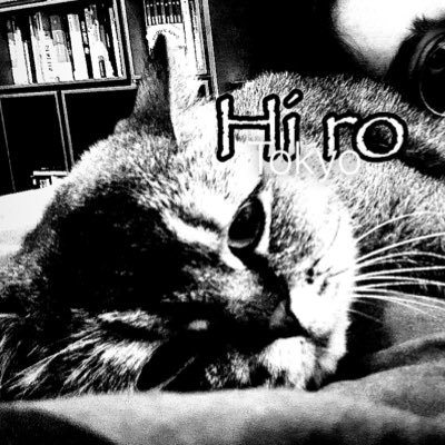 tabbbyy meowさんのプロフィール画像
