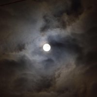 sol_eclipse (@solus_eclipse) 's Twitter Profile